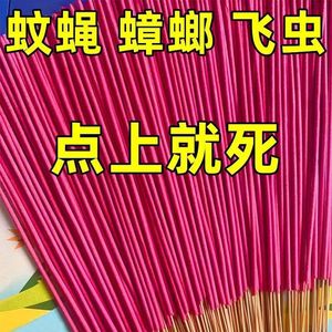 蚊子苍蝇一扫光钓鱼蚊香野钓三代蚊蝇香王灭蚊香特效强效蚊蝇香王