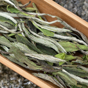 吾蒲白茶 | 荒野特级白牡丹 花香福鼎白茶 2021原料散茶装 500克