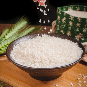 道禾 延边大米吉宏6六号5kg 延吉新米 胚芽米 农科院粳米圆粒10斤