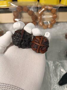 云南野生文玩铁核桃 七彩皇冠四棱