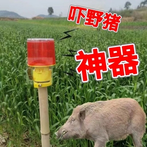 吓野猪大音量带狗叫枪声的驱兽神器全自动闪光灯太阳能喇叭报警器