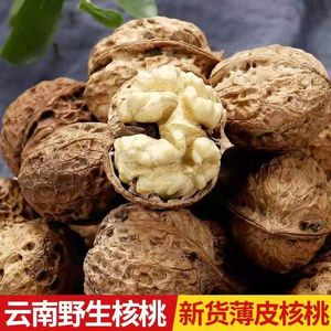 云南生态古树野生核桃5斤 野生薄皮纸皮核桃孕妇零食坚果薄壳包邮