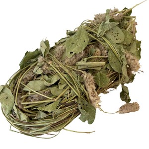 尾草深山狐狸尾草狸尾草中药材羊咩草煲汤采羊咩香草中草药23人付款