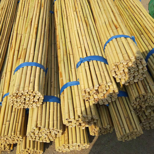 菜园搭架竹杆菜架竹竿2346米架条细长搭架栅栏篱笆绿化支撑杆山药