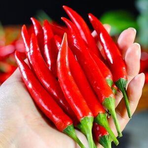 云南小米辣新鲜