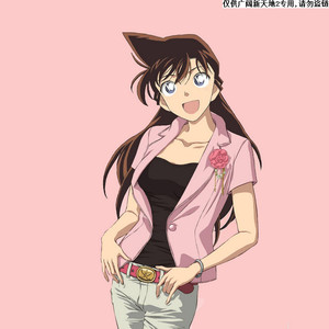 85一个关于淘宝本子名侦探柯南毛利兰灰原哀妃英理二次元漫画本子16