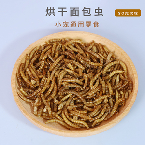 蜜袋鼯增肥长膘零食松鼠花枝仓鼠刺猬粮食玉米虫面包虫黄粉干亮毛