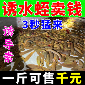 水蛭诱捕剂野生水蛭抓捕工具网笼竹笼诱蚂蟥蚂鳖小药专用诱导素