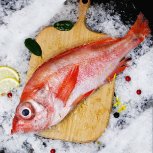 花淘 新鲜红鲷鱼600g-400g 挪威进口大眼鲷鱼