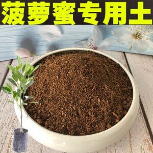 菠萝蜜土盆栽酸性沙质泥炭红土壤菠萝蜜水果绿植种植土营养土肥料