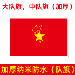 800人付款天猫少先队队旗队旗小队中队大队旗旗杆少年先锋队对旗2