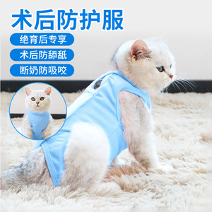 自制简易母猫手术服图片