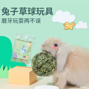 宠物兔玩具
