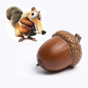 迎迎慧慧12淘宝天然野生橡果 儿童玩具植物不能食用 橡果子 果实