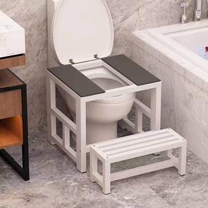 蹲坑神器两用坐便改蹲便神器防滑马桶凳脚蹲坐两用马桶粗钢管支架