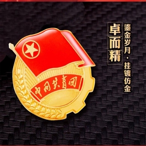 54五四青年节中国共青团员徽章胸针别针式蝴蝶扣磁铁团徽学生入团