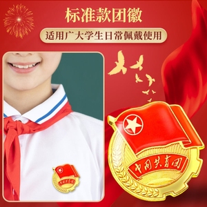54五四青年节中国共青团员徽章胸针别针式蝴蝶扣磁铁团徽学生入团
