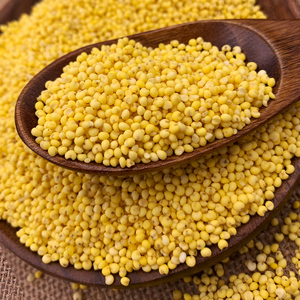 东北大黄米5斤新米黏黄米粘糯小米黍子米粘豆包粽子黏米饭真空装