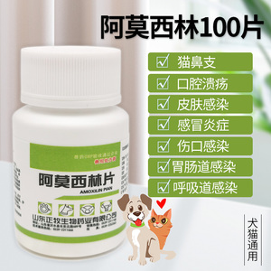狗狗猫咪用感冒药宠物阿莫西林兽用伤口感染鼻眼睛口腔消炎片速诺