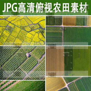 美丽乡村农村俯视平面图农田菜地高清su贴图jpg景观效果图ps素材