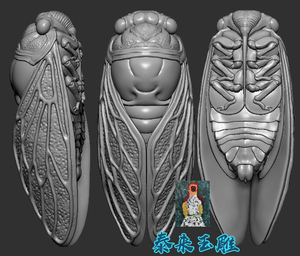 三维立体图圆雕图图纸stl文件蝉金蝉知了虫子雕刻机3d模型3411