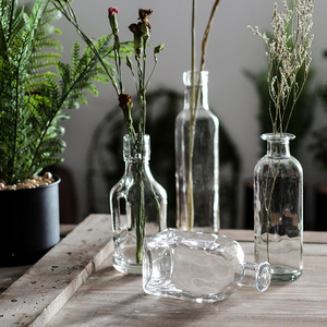 小口玻璃花瓶圆形创意小号细口水培植物高款桌面装饰花器摆件ins
