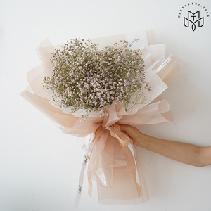 果冻膜彩色玻璃纸纯色包花纸opp花束纸包装纸外包纸软纸鲜花包纸