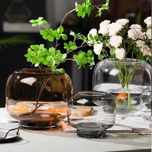 轻奢花瓶装饰摆件原色玻璃透明水养鲜花干花插花客厅餐桌圆形花器