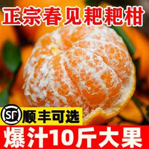 正宗春见耙耙柑水果新鲜当季整箱橘子丑应季粑粑柑桔子10斤杷杷柑