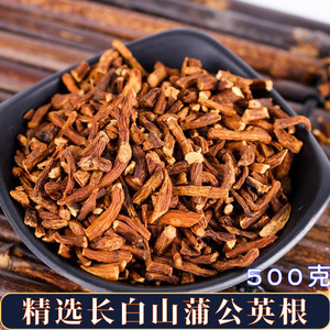 羊奶草根茶野生长白山同仁堂玉兰根茶白古丁根特级蒲公英根茶500g