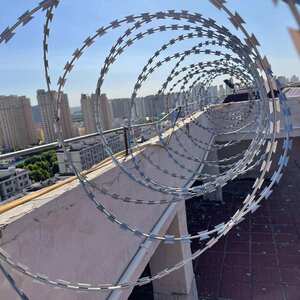 围墙镀锌防爬刺防盗网刀片刺绳刺网刺丝滚笼蛇腹型铁丝网倒刺围栏