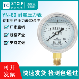 天川YN-60耐震压力表抗震气压表高压水压油压负压液压防震真空表