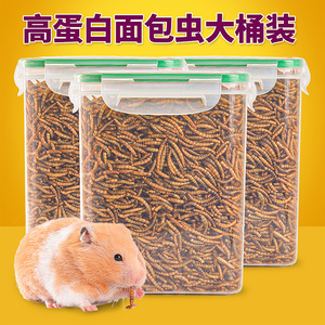 克中药材中草药小强美洲大蠊新货黄婆娘蟑螂虫干货包邮潮流岳西店