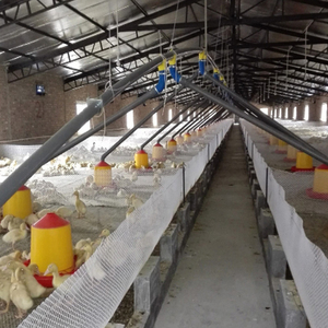 养殖绞龙料线鸭棚料线配件全套养鸡喂水送料猪场自动上料饮水设备
