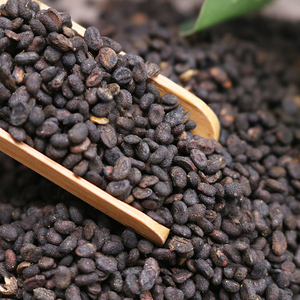 补骨脂盐制补骨脂故芷中药材胡韭子黑故子包邮盐制破故纸500g