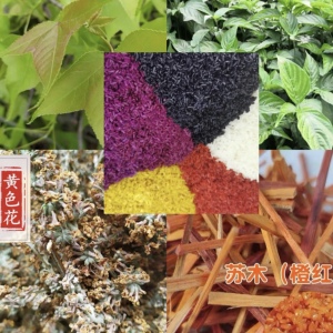 广西特产五色糯米饭花米饭纯天然植物染料红紫蓝草五彩米黄黑红紫