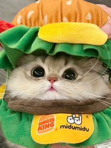 猫咪汉堡头套宠物帽子狗狗头饰小型犬搞怪可爱拍照道具装扮服饰品