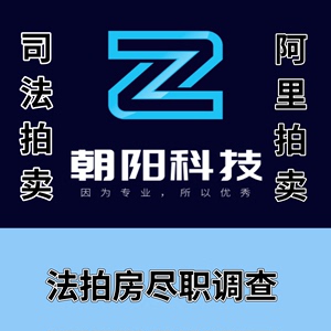 司法拍卖房长沙法拍房律师尽调商品房尽职报告房产信息腾房情况