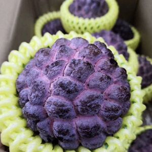 00年轻没有胜败丶淘宝紫色玫瑰释迦果新鲜5斤海南番荔枝台湾牛奶