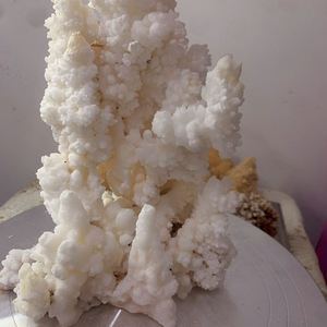 【云缅奇石】溶洞精品原石摆件天然奇石观赏石小钟乳石随机发货