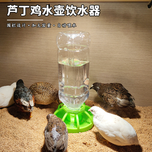芦丁鸡喂水器水壶芦丁鸡宠物喝水喂食器芦丁鸡饮水器小号造景用品