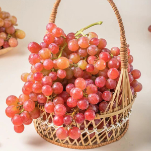 慕斯卡香水葡萄水晶玫瑰香葡萄顺丰包邮1000g