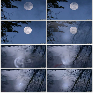 夜晚圆月月亮水中月倒影月夜深夜野外空镜月天空视频素材