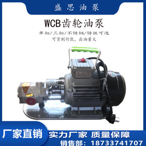 WCB便携式手提泵齿轮油泵220V单相电机大流量自吸泵 铸铁/不锈钢