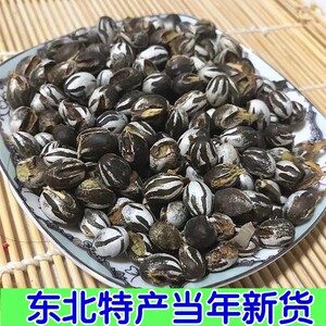 今年新货杨拉罐洋辣子拉罐洋辣子罐羊喇辣松鼠刺猬飞鼠零食坦克虫