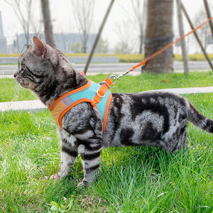 猫咪牵引绳猫专用遛猫绳防挣脱遛猫神器拴猫绳猫链子猫绳子牵引猫