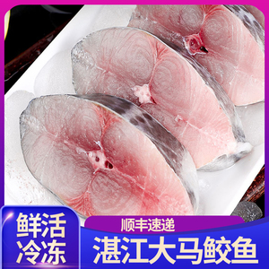 【5斤】湛江大马鲛鱼片中段切片深海鱼水产新鲜马胶鱼海鲜马交鱼