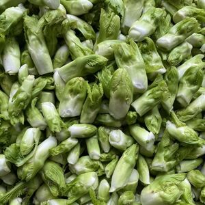 四川儿菜新鲜现砍抱儿菜母子菜娃娃菜泡菜用抱母菜多心菜新鲜蔬菜