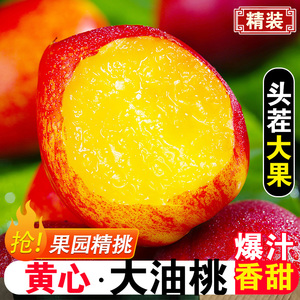 黄心油桃新鲜水果5斤桃子当季整箱包邮孕妇脆蜜桃时令水果大桃子