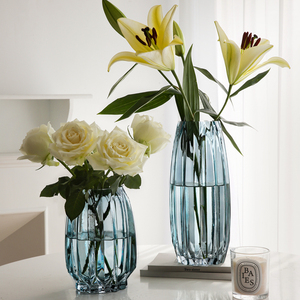 透明玻璃花瓶摆件客厅插花鲜花水养百合玻璃瓶网红轻奢北欧ins风